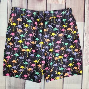 Brooklyn Cloth Volley Mens Large Black Colorful Flamingos Allover Lined‎ Trunks